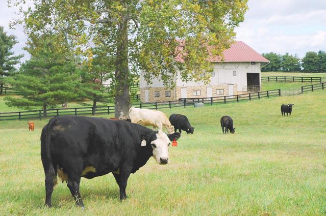 What Our Region Grows