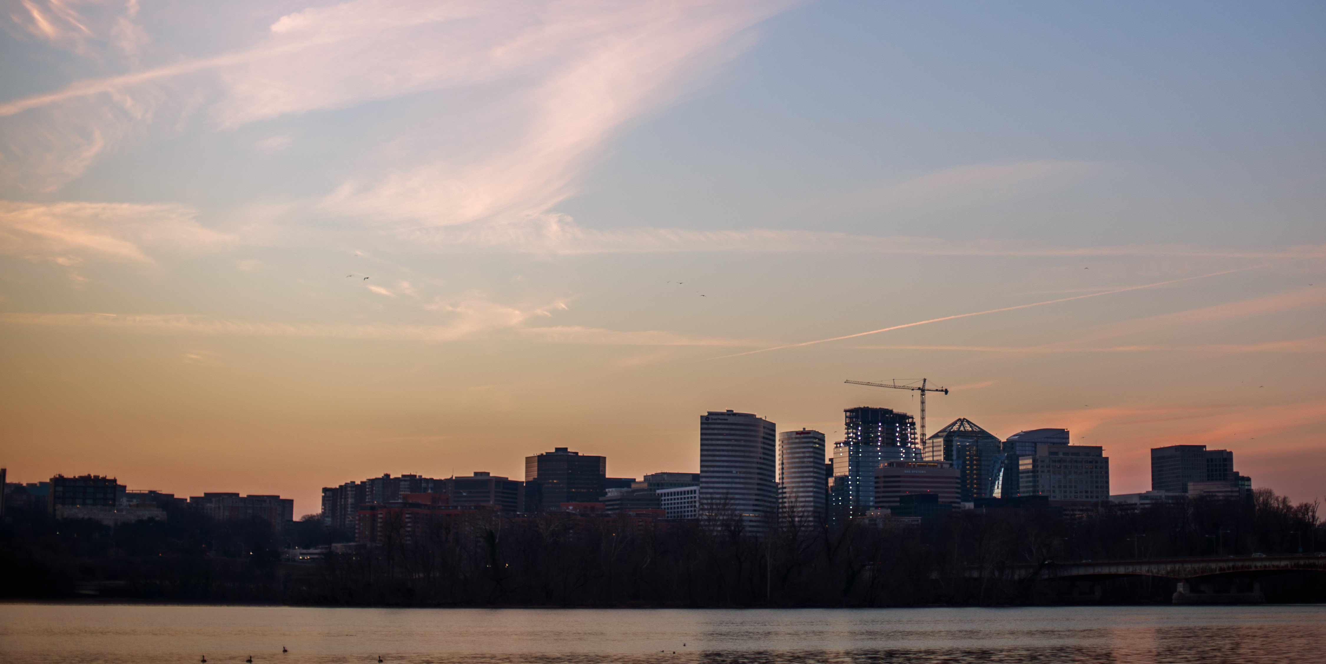 Aimee_Custis_Photography2