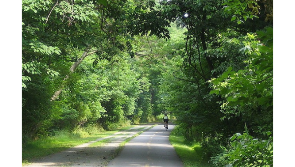 Climate Mitigation Study