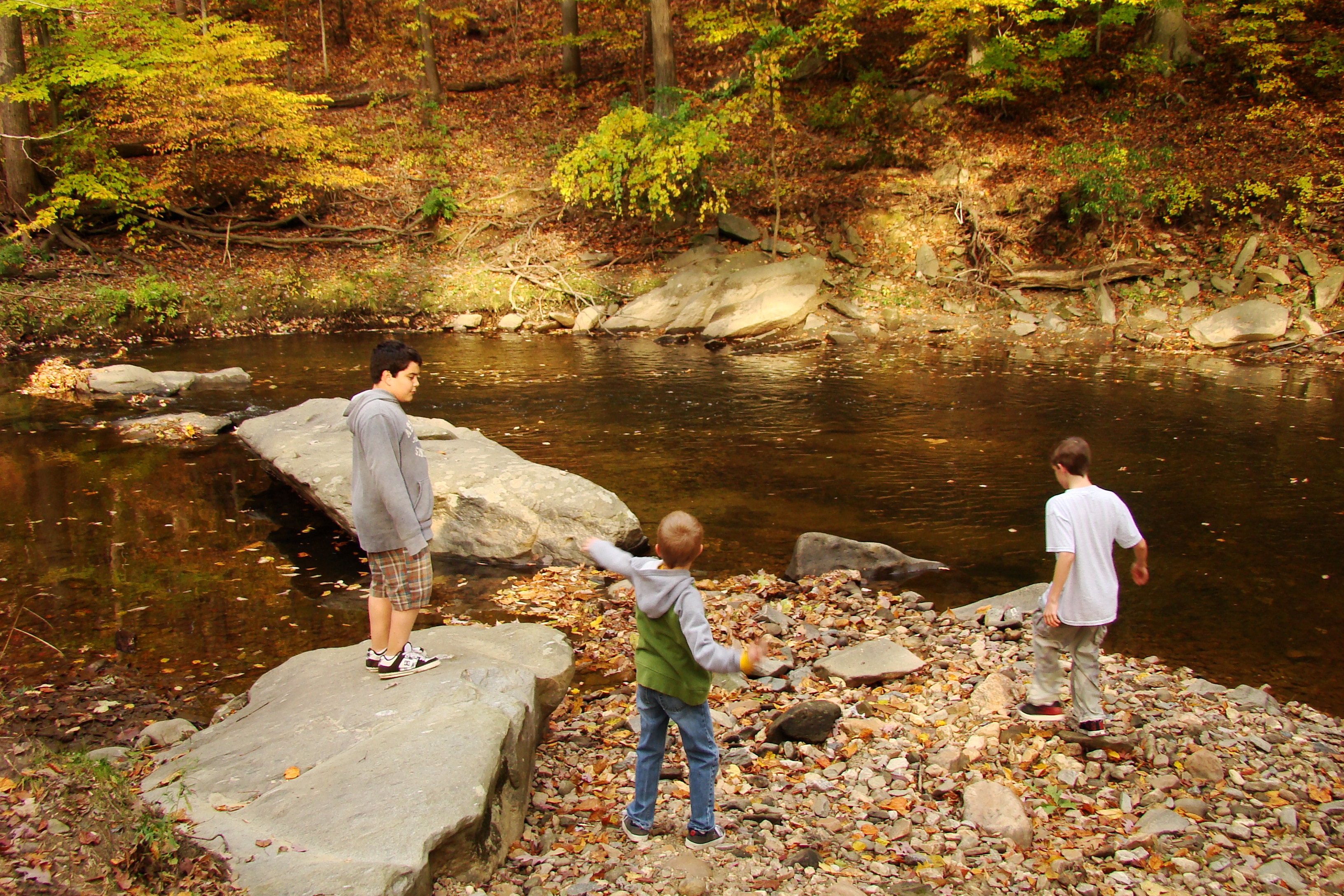 Kids_in_Rock_Creek_Park