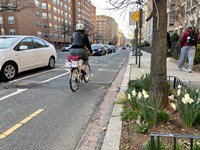 15th Street during the Pandemic