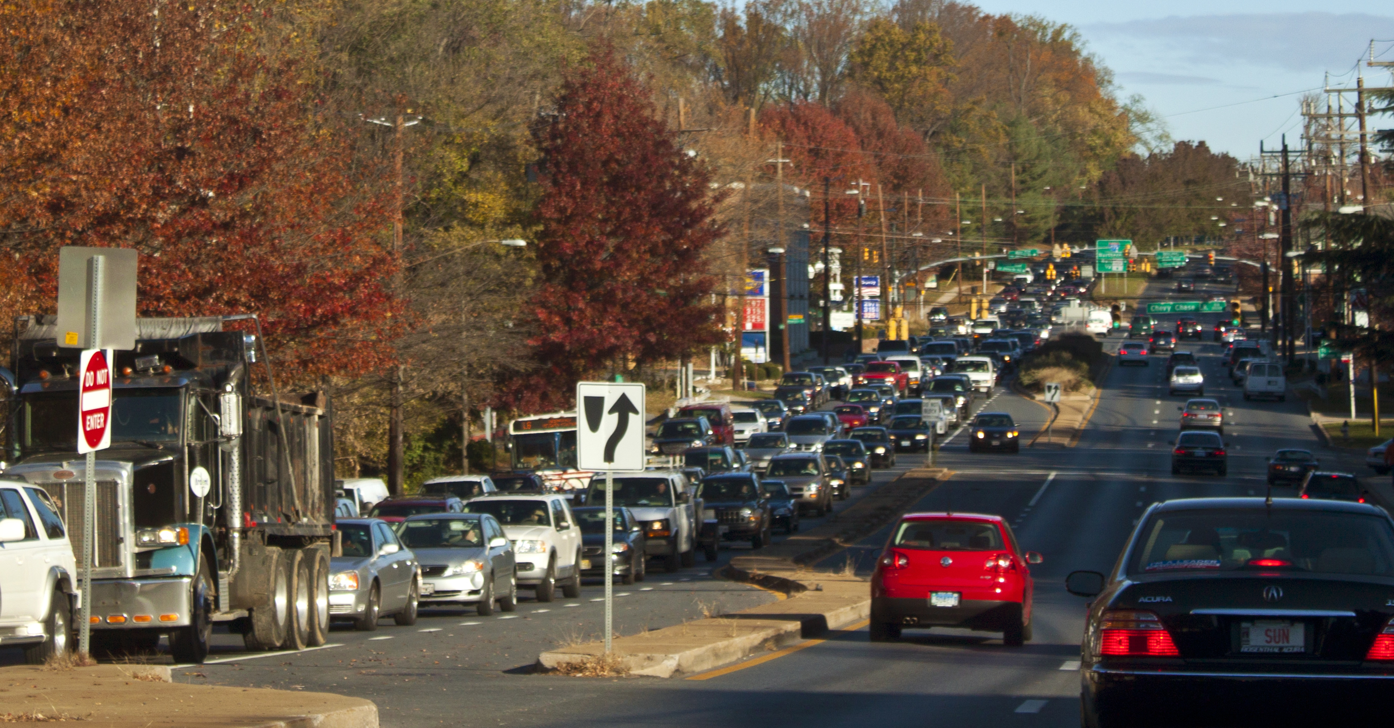 Thanksgiving2016_flickr-Bossi_cropped2