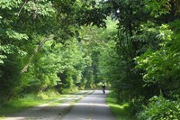 W & OD Trail near Leesburg, Virginia