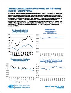 NEW_REMS_REPORT_January_2019_Revised_2