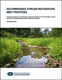 Stream Restoration Report