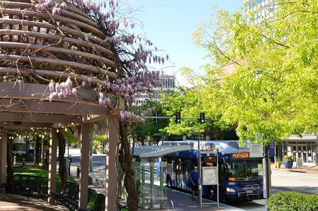 Crystal City Metroway BRT Stop