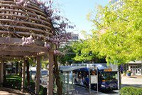 Crystal__City_Courtyard_Metroway_BRT_Bus_Stop_Beyond_DC_Flickr