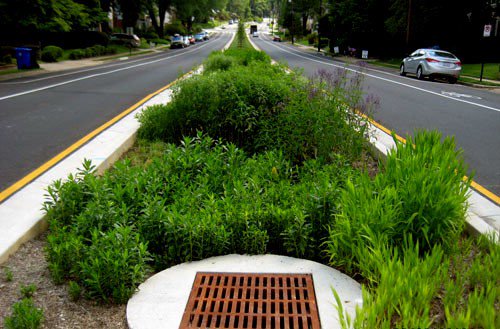 Stormwater_Arlington_County_DES_Flickr