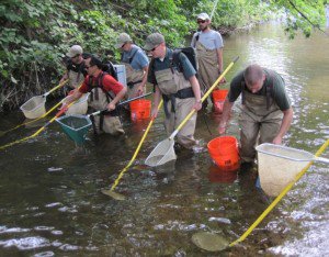 Phong Trieu (red shirt) and his team gathering shocked fish.